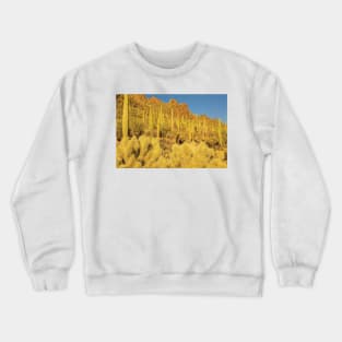 Sonoran Desert Landscape Crewneck Sweatshirt